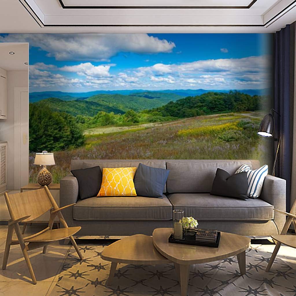 Self-Adhesive Removable Scenic Mountain & Wildflowers Wallpaper Mural - North Carolina Landscape Peel & Stick Wall Decal for Living Room, Bedroom & Home Office Decor