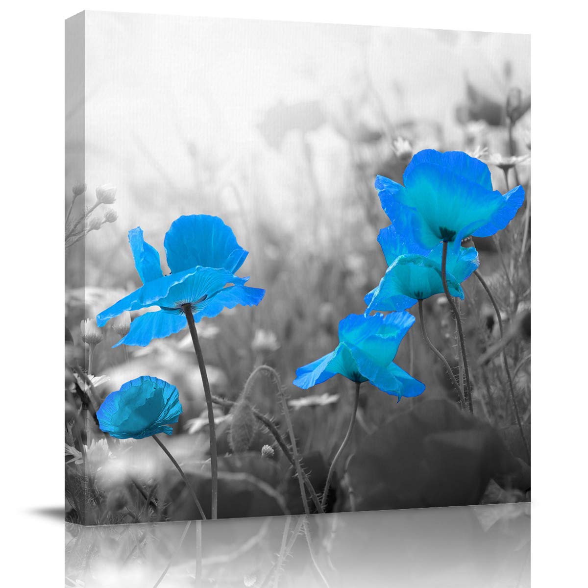 24x24 Inch Square Canvas Wall Art - Black and White Blue Poppy Oil Painting for Home Decor, Stretched on Wooden Frame, Ready to Hang - Perfect for Bathroom, Bedroom, Living Room, Kitchen, Hotel & Office Decor
