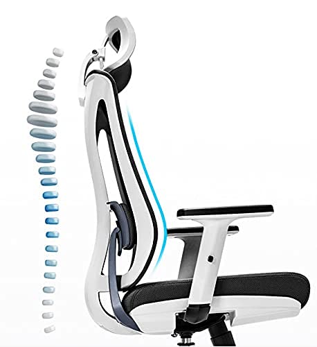 Ergonomic Home Office Chair - High Back Mesh Computer Desk Chair with Adjustable Height, Lumbar Support & Thick Seat Cushion - Executive Swivel Task Chair for Conference Room, Gaming, and Long Work Sessions