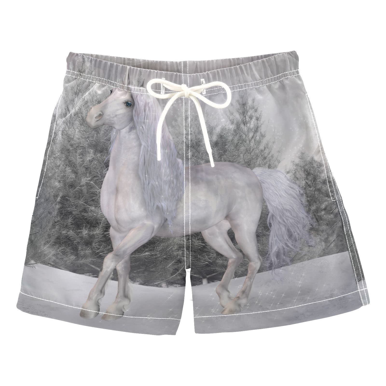 Boys' Unicorn Winter Scenery Swim Trunks with Mesh Lining - Quick Dry Beach Shorts, Adjustable Waist for Swimming, Pool & Summer Vacation