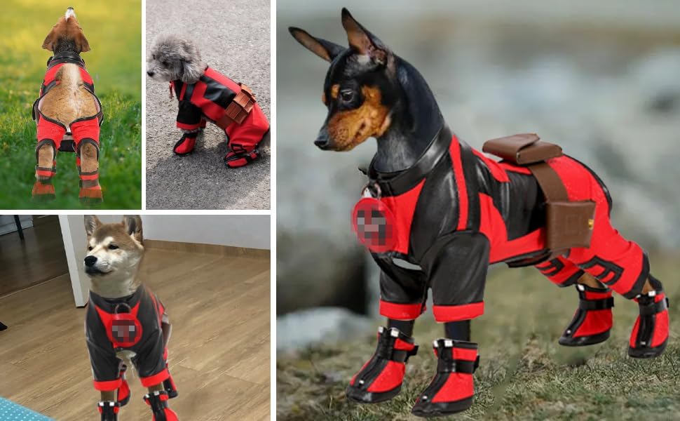 Premium Superhero Dog Costume for Small Dogs - Red Deluxe Pet Outfit for Christmas & Halloween - Full Set with Cape & Mask for Dress-Up & Photo Shoots