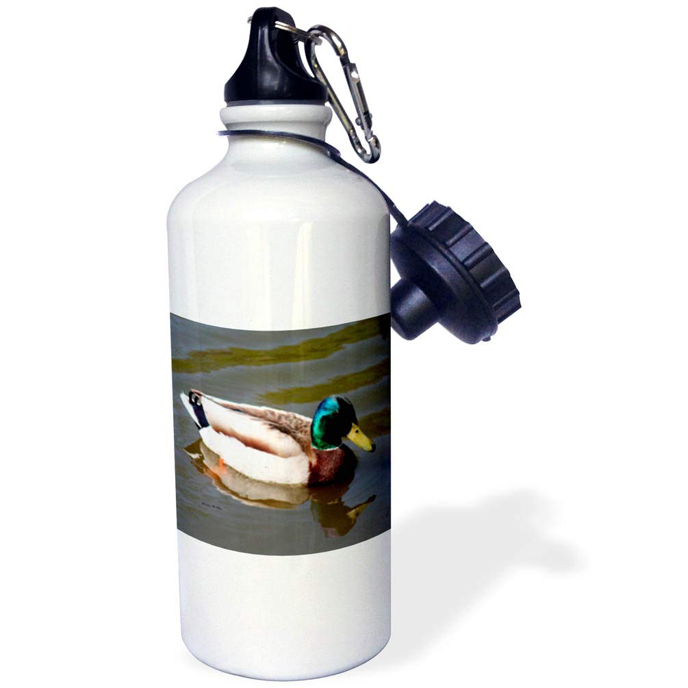 3D Rose Mallard Duck Photography Sports Water Bottle - 21oz Insulated Stainless Steel Water Bottle for Gym, Hiking & Outdoor Activities - White