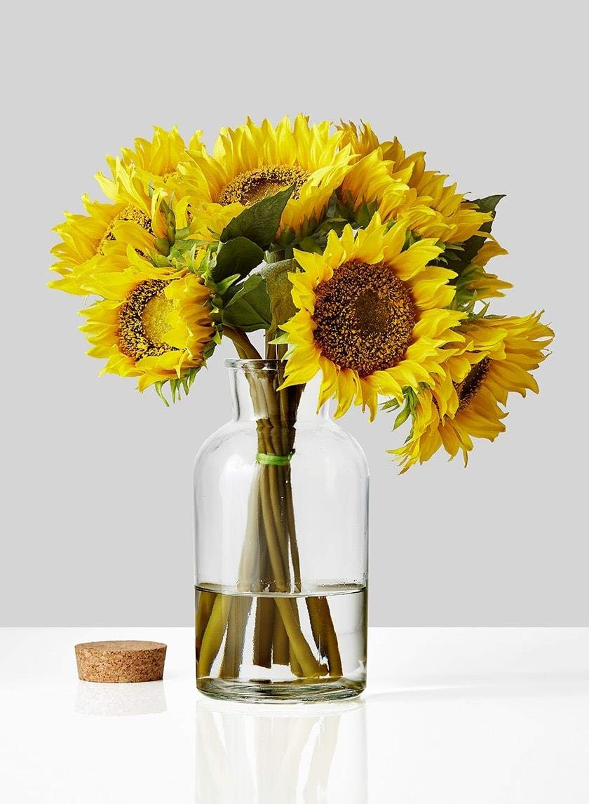 12-Pack 8 Inch Clear Glass Bottle Vases with Cork Stoppers - Modern Cylinder Flower Vases for Home Decor, Wedding Centerpieces, DIY Crafts & Office Desk Decorations