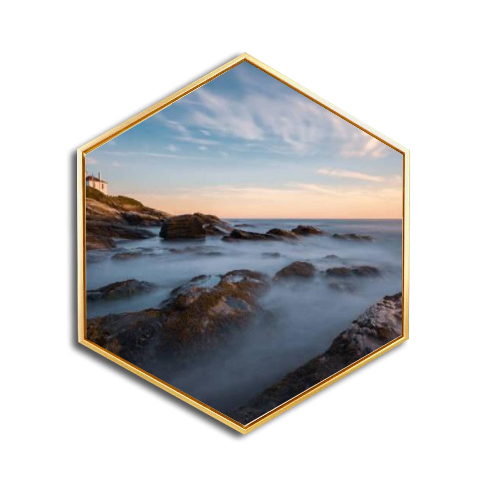 Beavertail Light Golden Framed Canvas Wall Art - Minimalist Modern Giclee Print Hexagon Wall Decor for Home & Office - Ready to Hang - Perfect for Living Room, Bedroom & Workspace Decor