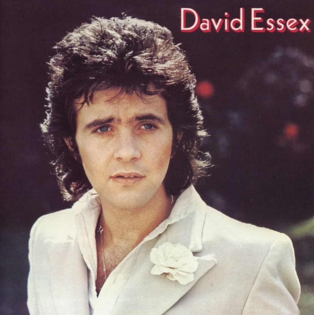 David Essex Official Merchandise - Vintage Music & Memorabilia for Fans & Collectors | Perfect for Home Decor, Gifts & Music Lovers