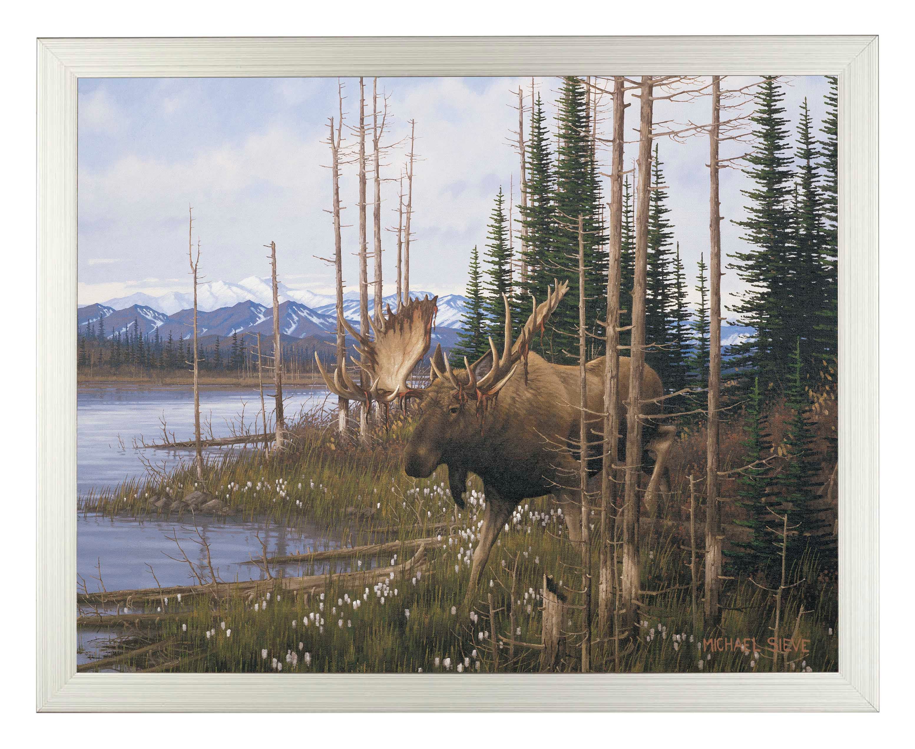 Premium Cotton Grass Meadow Moose Wall Art Print - Nature Wildlife Decor for Living Room, Bedroom & Office