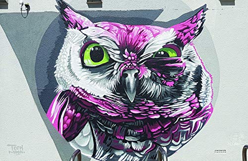 Owl Wink