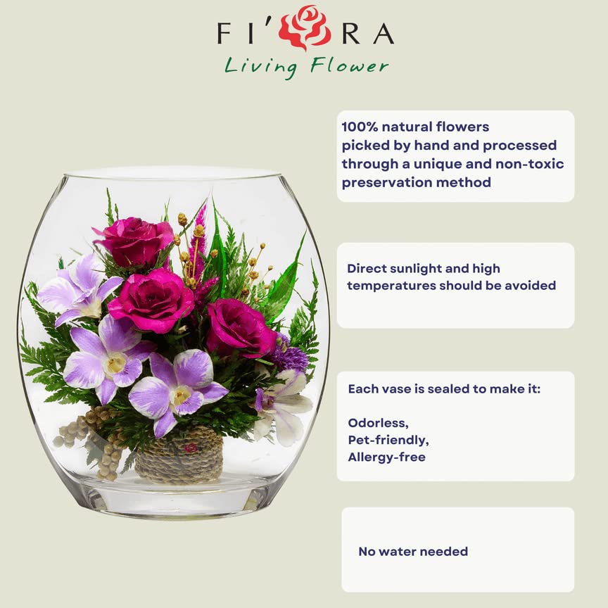 Luxury Preserved Orchid Arrangement in Glass Vase - Long Lasting Silk Flowers for Anniversary, Wedding, Corporate Gifts - Perfect for Home Decor, Office Centerpiece & Special Occasions