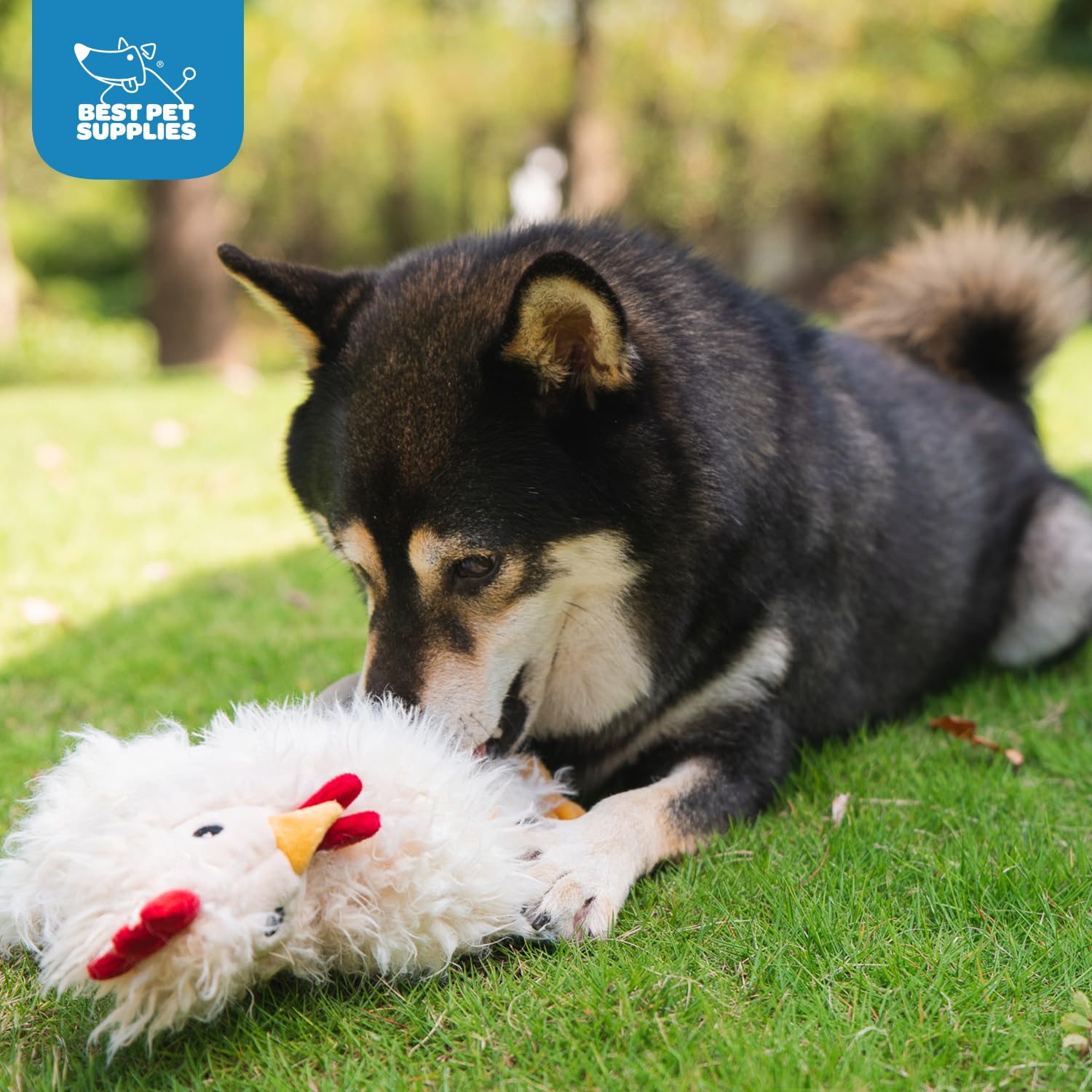 Premium Crinkle Chicken Plush Dog Toy - Interactive & Chew-Resistant for Puppies & Senior Dogs, Soft & Cuddly Beige Chicken-Shaped Pet Toy for Indoor Play, Training & Anxiety Relief - Perfect for Fetch, Tug-of-War & Cuddle Time