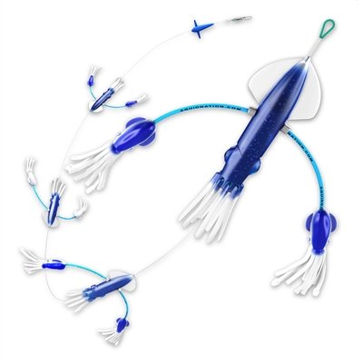 Electric Blue Blue & White