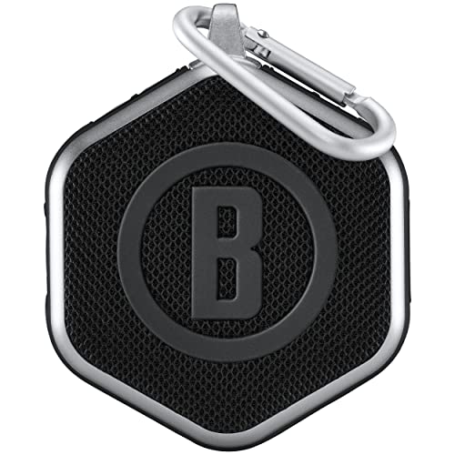 Silver/Black