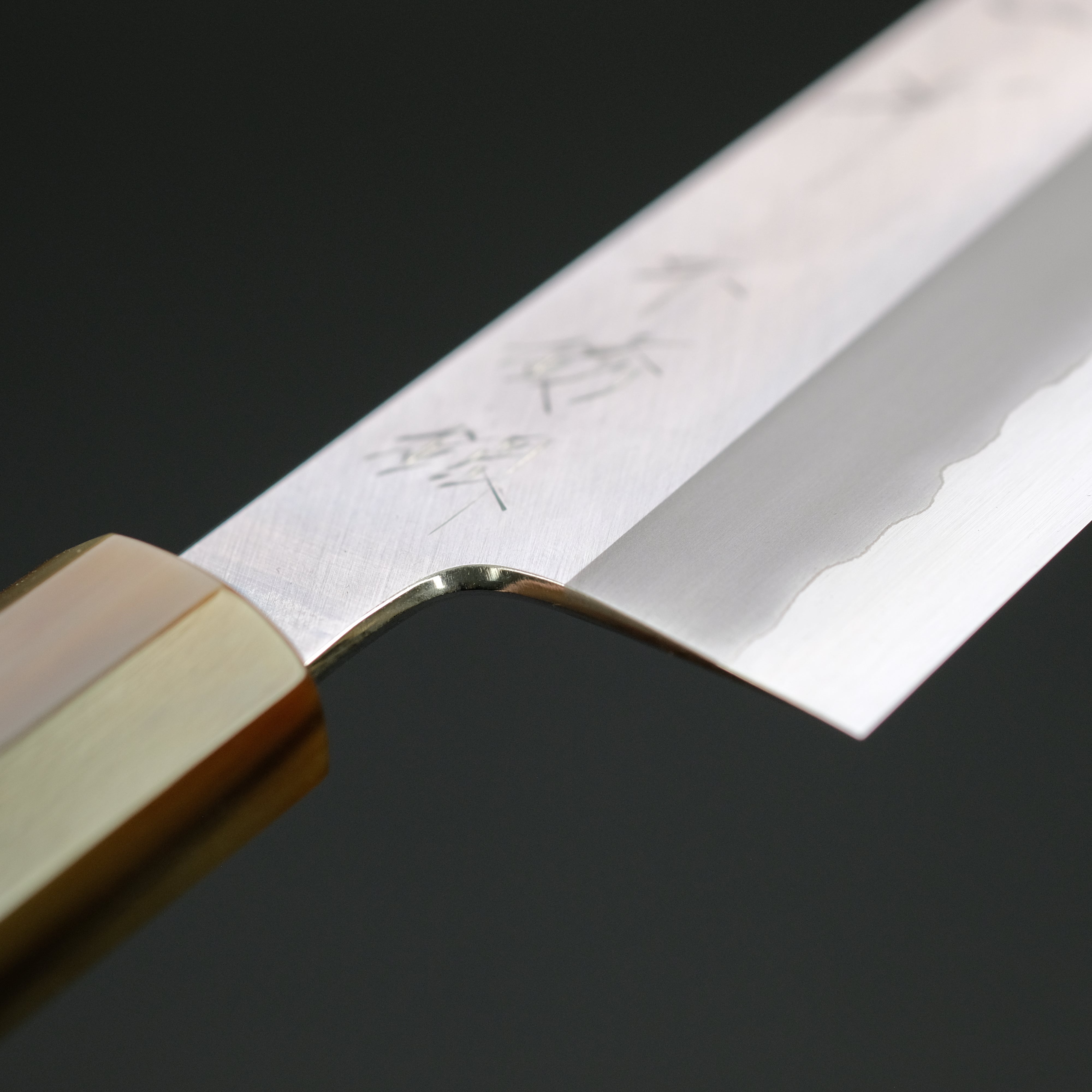 Hitohira Tanaka Kyuzo Blue #1 Stainless Clad Gyuto 240mm Japanese Chef Knife with Taihei Ebony Handle - Perfect for Sushi, Meat Slicing & Professional Kitchen Use