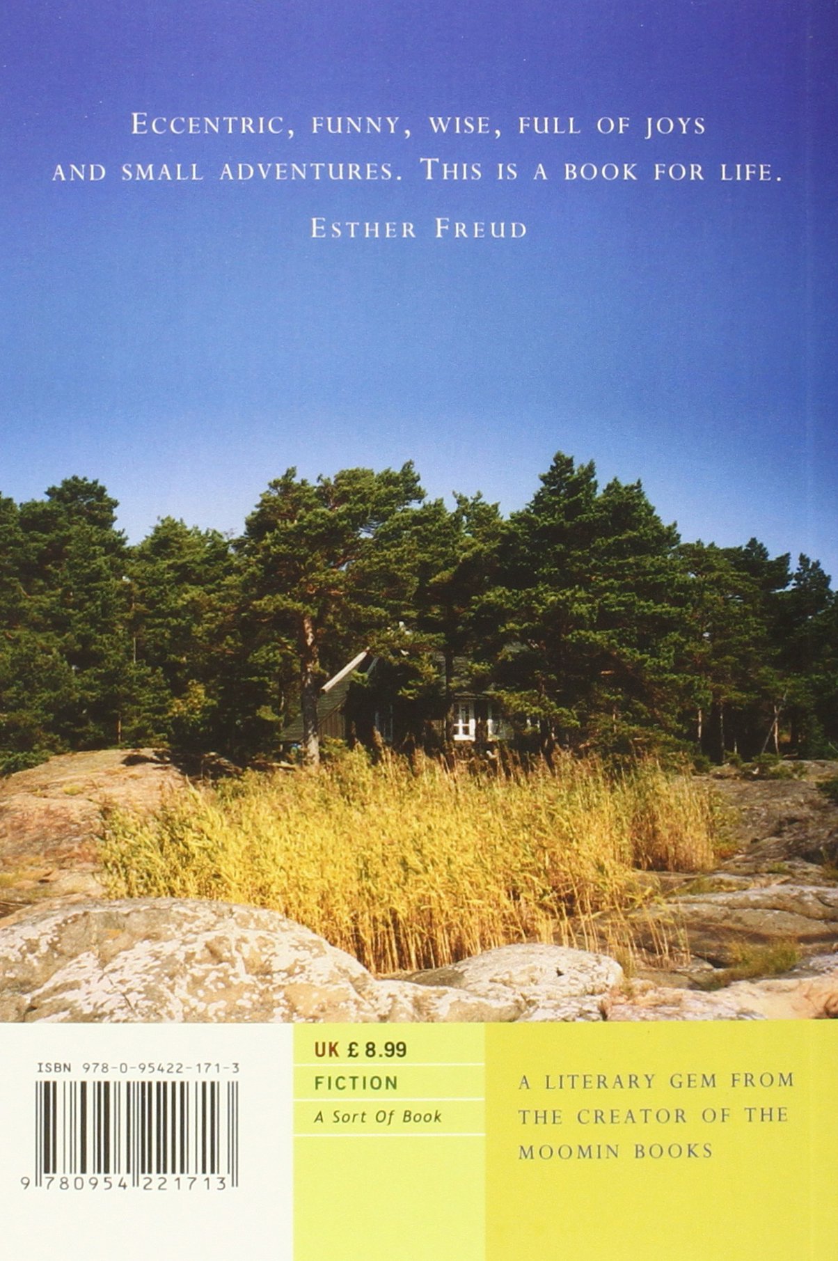 The Summer Book: A Heartwarming Novel About Family, Nature, and Adventure – Perfect for Beach Reading & Vacation Escapes