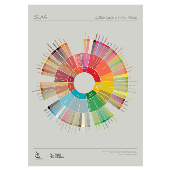 Coffee Taster's Flavor Wheel Chart - SCAA Certified Aroma & Taste Guide for Coffee Professionals - Perfect for Baristas, Roasters & Home Brewing Enthusiasts