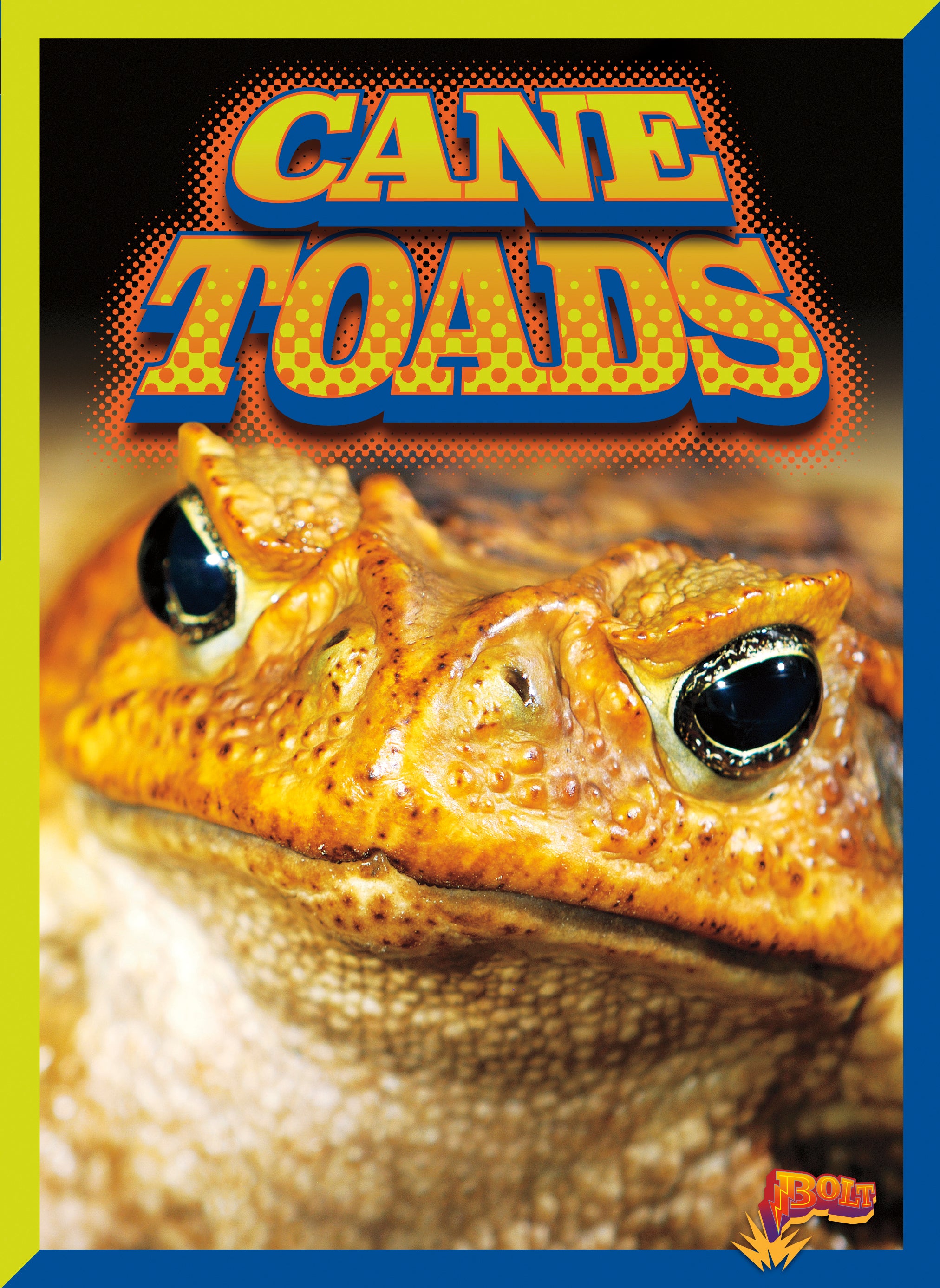 Cane Toads: Invasive Species Control & Prevention Tips for Your Garden | Protect Your Backyard Ecosystem