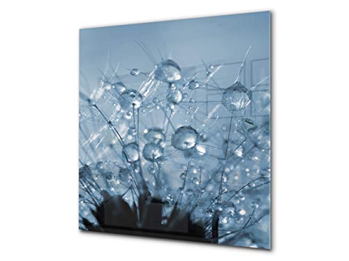 Dandelion Drops 1
