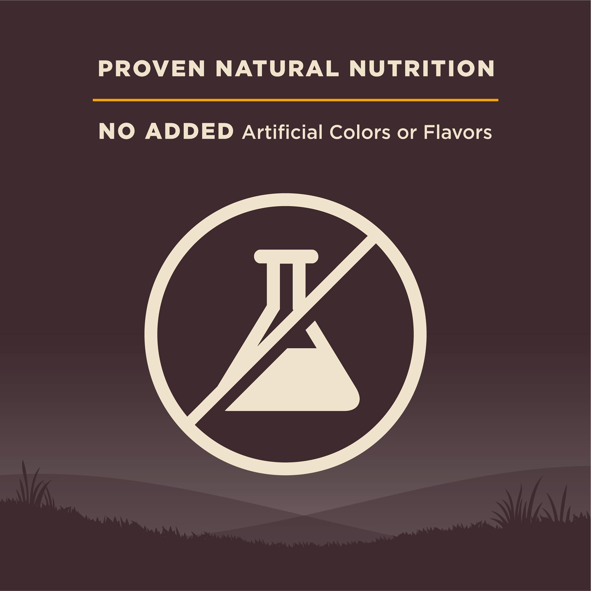 Wellness CORE Natural Grain Free Dry Dog Food for Puppies - High Protein, Nutrient-Rich Kibble - 4lb Bag for Small Breed Dogs - Perfect for Training, Growth & Digestive Health