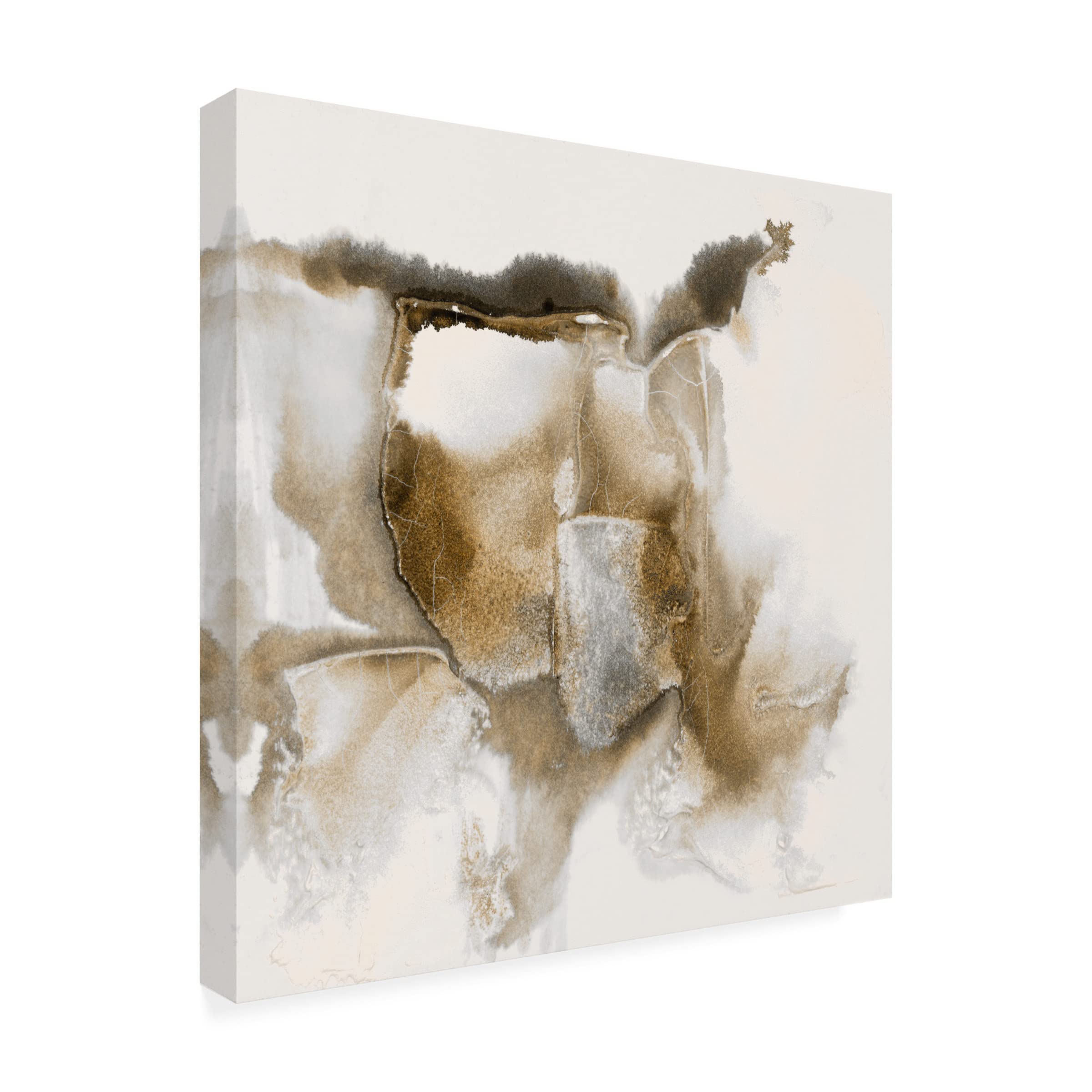 Scherrer Finch 'Drifting Sands II' Canvas Wall Art - Modern Abstract Landscape Painting for Living Room, Bedroom & Office Decor