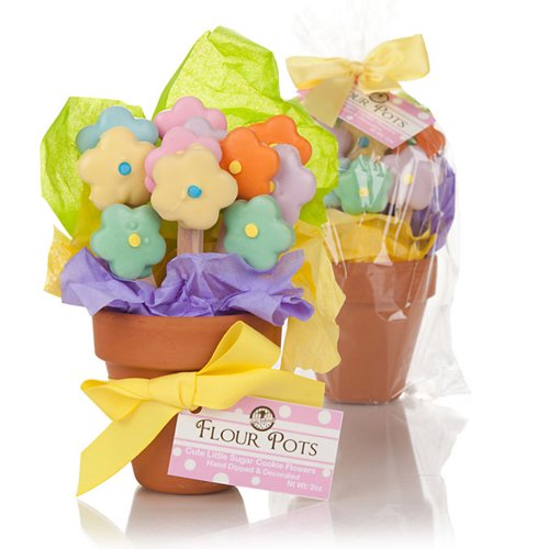 Mother's Day Cookie Bouquets - Set of 12 Handmade Floral Cookies in Decorative Flower Pot | Perfect Gift for Mom, Birthday, Anniversary & Special Occasions