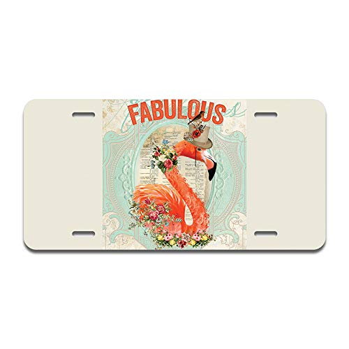 Fabulous Flamingo