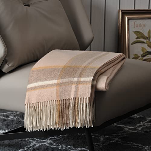 Beige Border