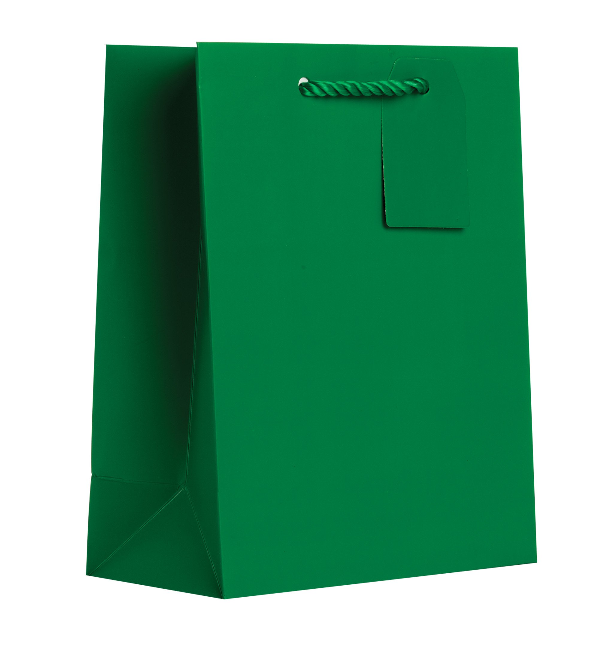 Jillson Roberts Bulk Medium Gift Bags - 19 Colors Available (Green Matte) - 120 Count (BMT913) - Perfect for Birthday Parties, Weddings & Holiday Gift Wrapping