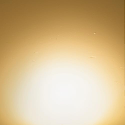 Warm White