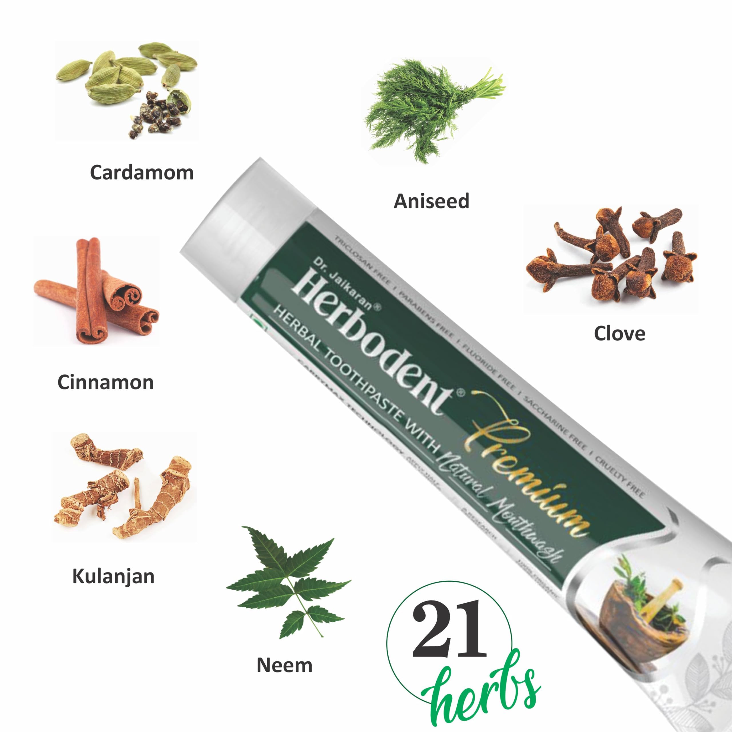 Herbodent® Premium Herbal Toothpaste - 5.82 Oz (Pack of 1) | Natural Toothpaste with 21 Herbs for Strong Teeth & Healthy Gums | Neem, Clove, Cinnamon & Cardamom | Fluoride-Free, Paraben-Free, Saccharin-Free | Ideal for Daily Oral Care & Sensitive Teeth