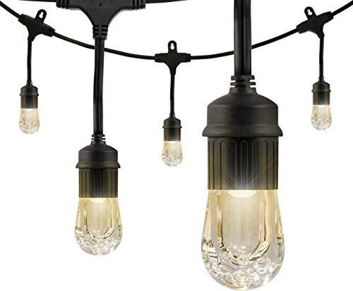 String Lights - Black Cord