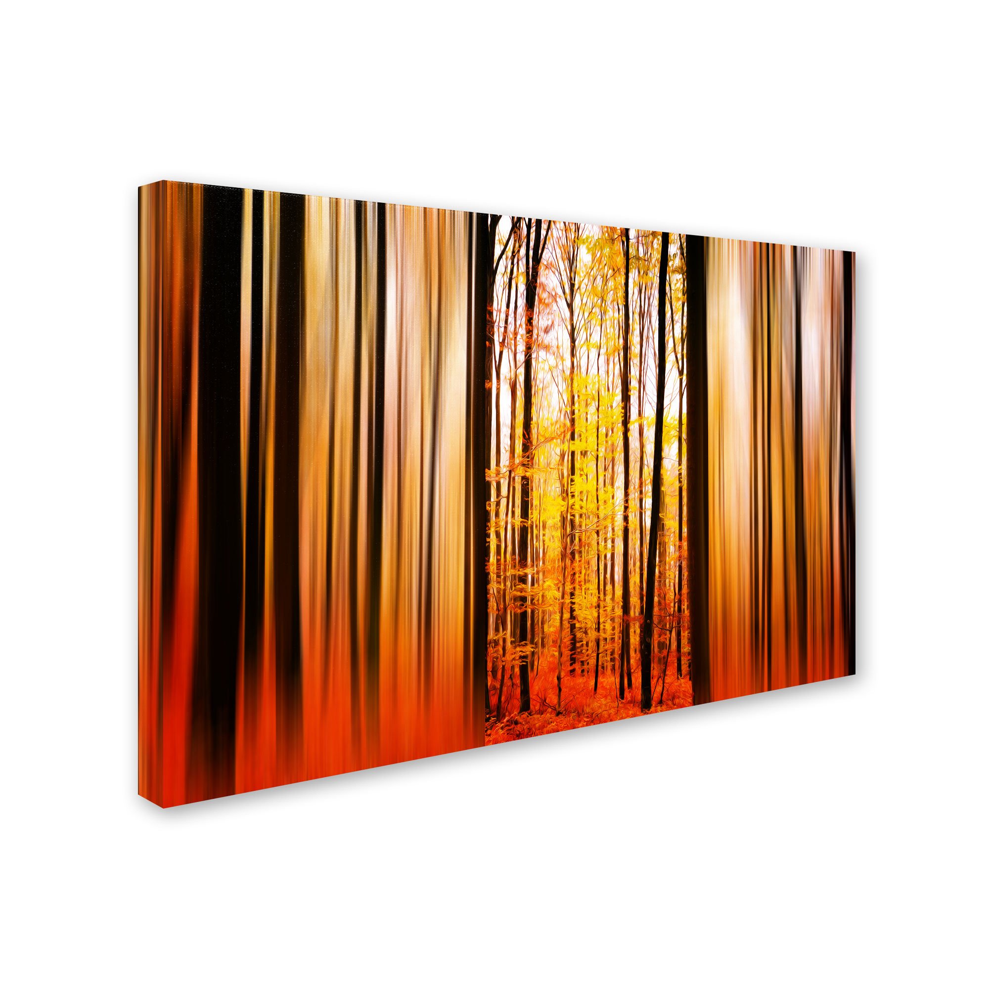 Excited Oxygen Artwork by Philippe Sainte-Laudy - 16x24 Inch Framed Wall Decor - Modern Abstract Painting for Living Room, Bedroom & Office