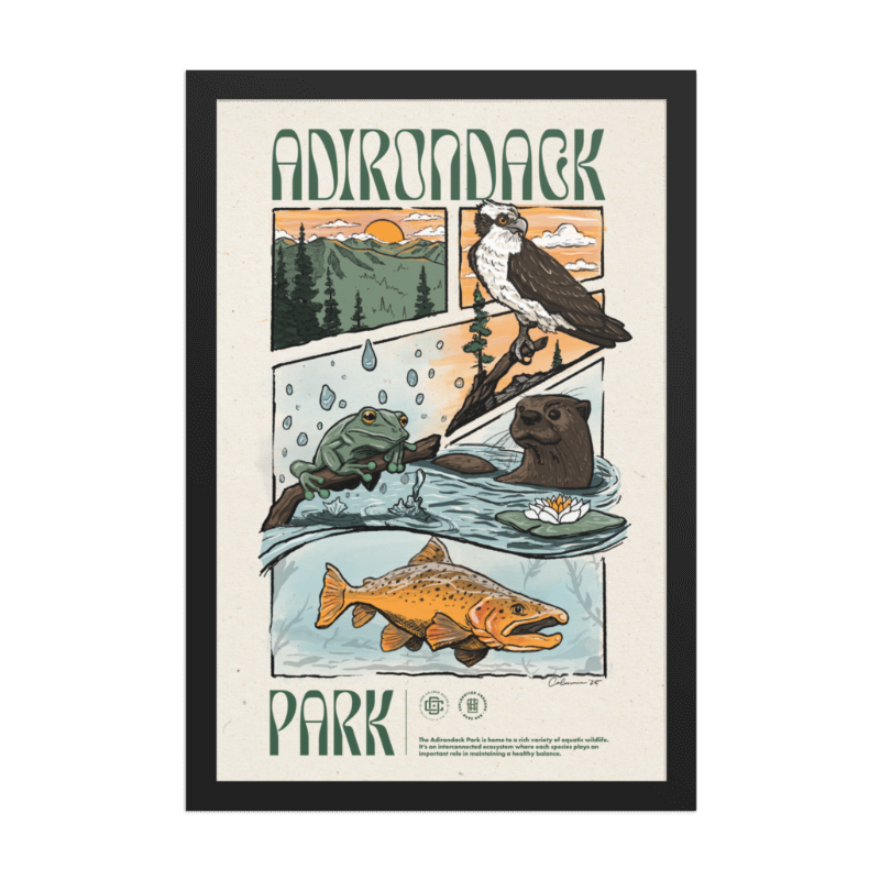 Adirondack Ecosystem Poster - 2nd Edition | Nature Wall Art for Home & Office Decor | Perfect for Classrooms, Living Rooms & Nature Lovers