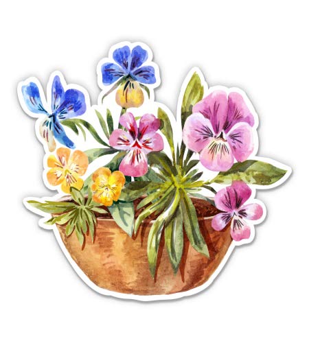 Pretty Pansies 3
