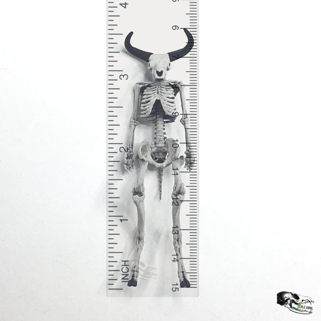 1:24 Scale Minotaur Skeleton Miniature - Unpainted Gray Resin Model for Dollhouse, Diorama, Halloween & Gothic Decor - Perfect for Wargaming, Tabletop RPGs and Dark Fantasy Displays