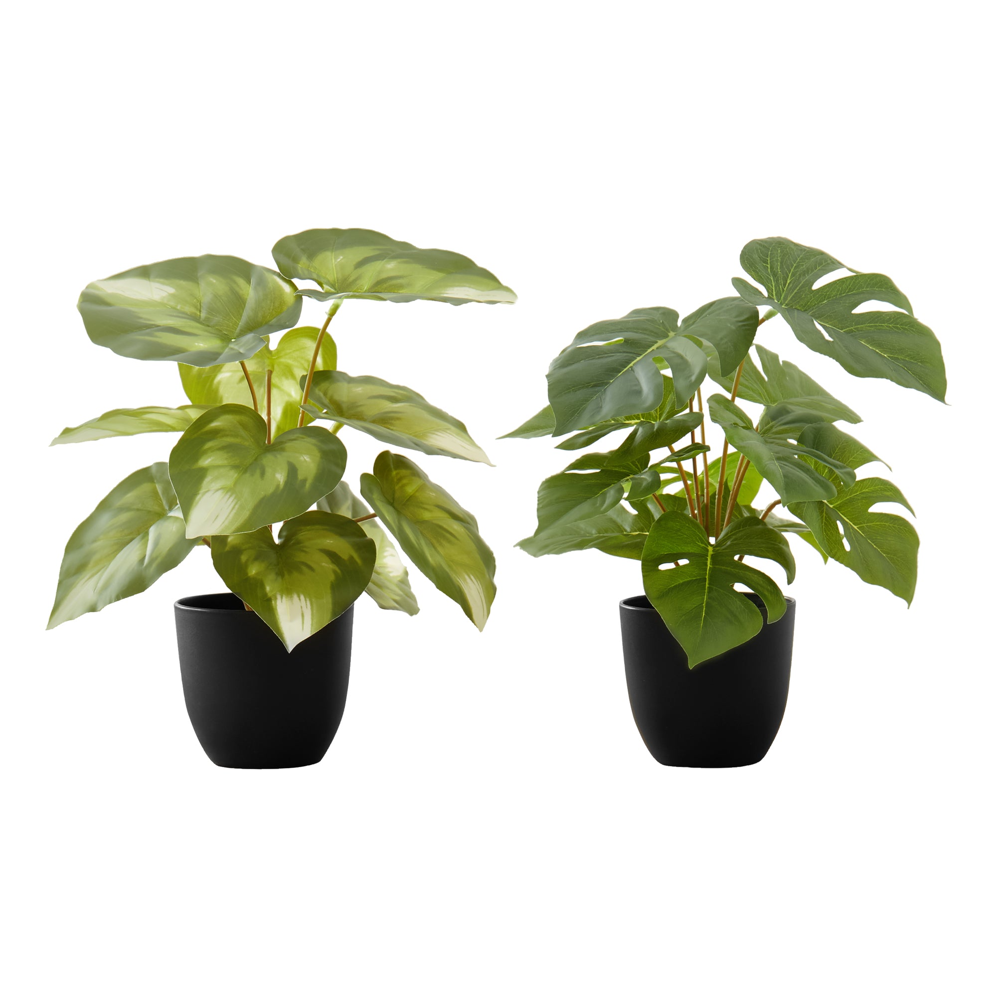 Faux Monstera and Calathea Artificial Plants Set - 13 Inch Tall Indoor Potted Greenery, Modern Home Office Decor with Black Planters (2 Pack) - Perfect for Living Room, Bedroom, and Workspace Decorations