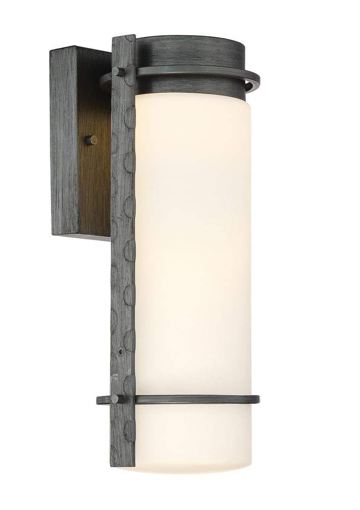 DESIGNERS FOUNTAIN LED34311-WI Aldridge - 13.5 Inch 10W LED Outdoor Wall Lantern with Weathered Iron Finish & Opal Glass - Perfect for Porch, Patio, Garden, and Entryway Lighting