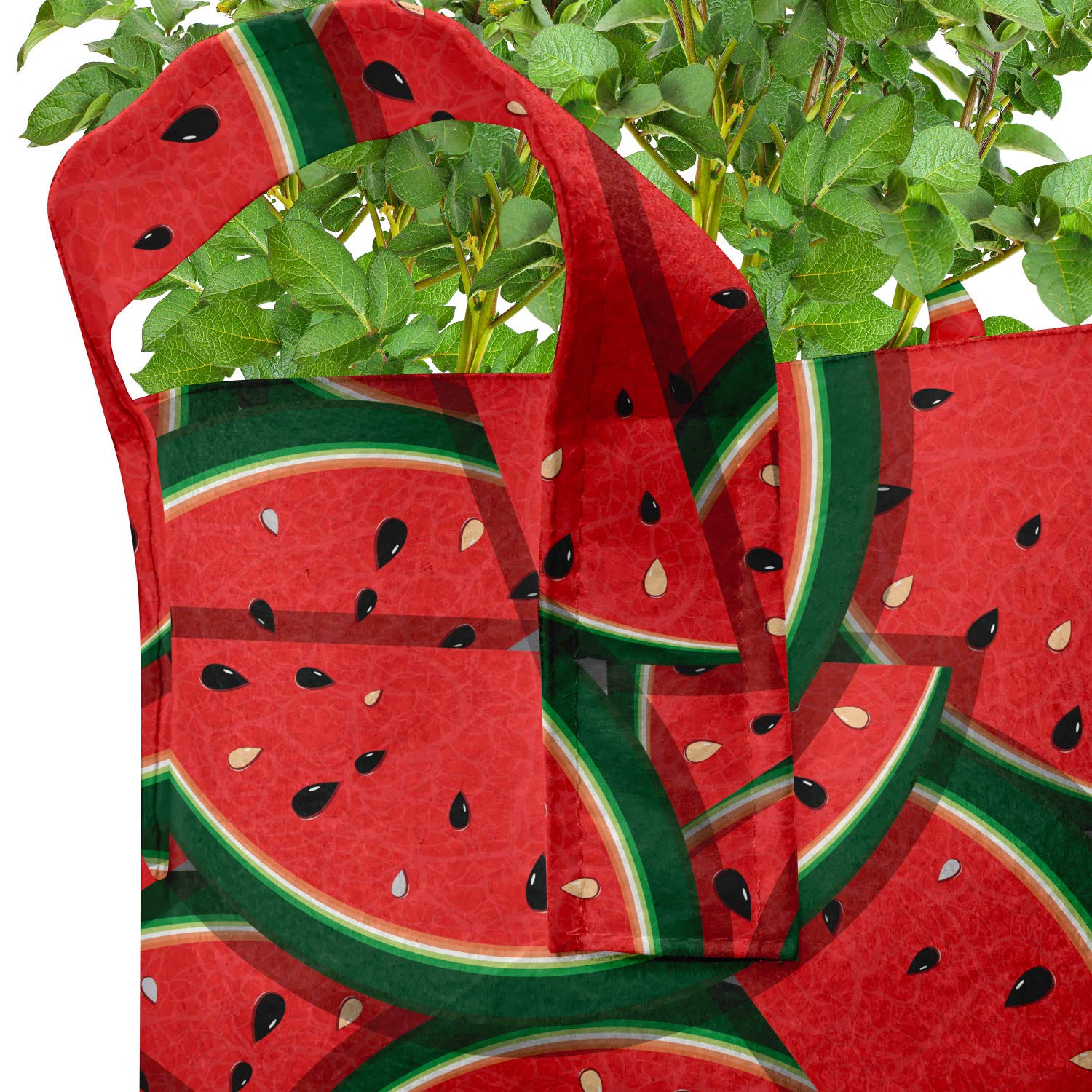 Ambesonne 5-Pack Heavy Duty Fabric Grow Bags with Handles - Watermelon Slice Print Plant Pots for Fruits & Vegetables (Hunter Green/Red) - Ideal for Indoor Gardening, Balcony Plants & Urban Farming