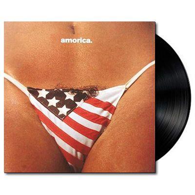 The Black Crowes - Amorica Vinyl LP Record | Classic Rock Music Album for Collectors & Music Lovers | Perfect for Home Listening, Gifts & Vinyl Collections
