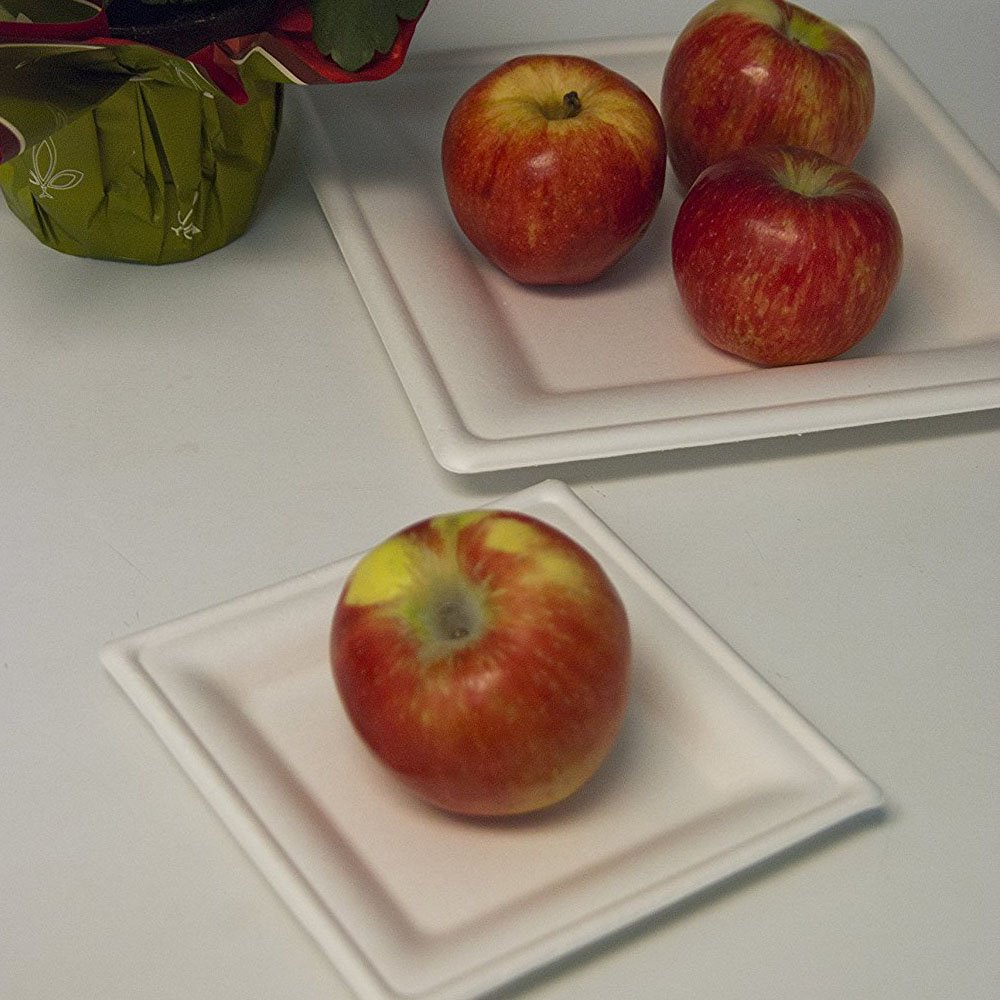 ECO-Friendly Disposable Square Sugarcane Plates - 6