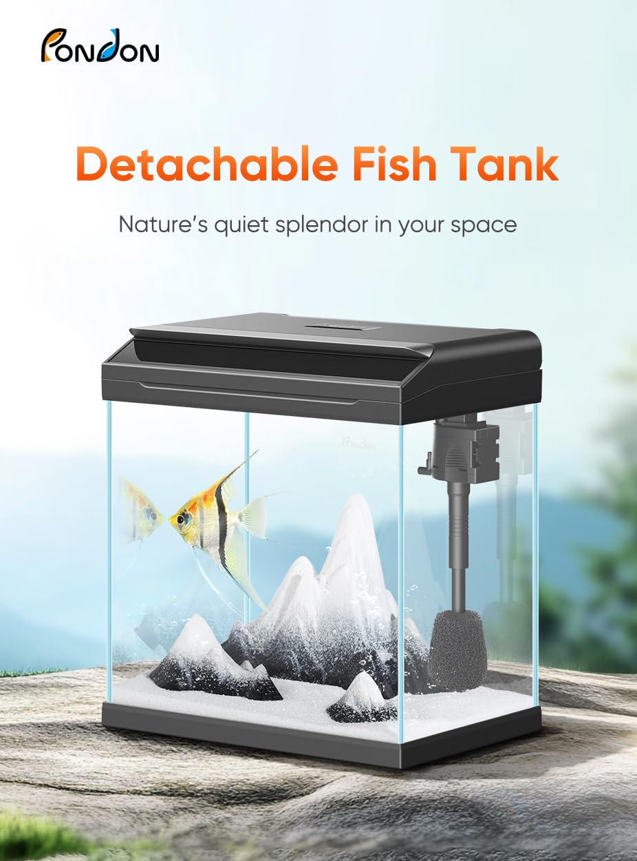 4 Gallon Low-Iron Glass Fish Tank with LED Light & Filter - Perfect for Betta Fish & Beginners