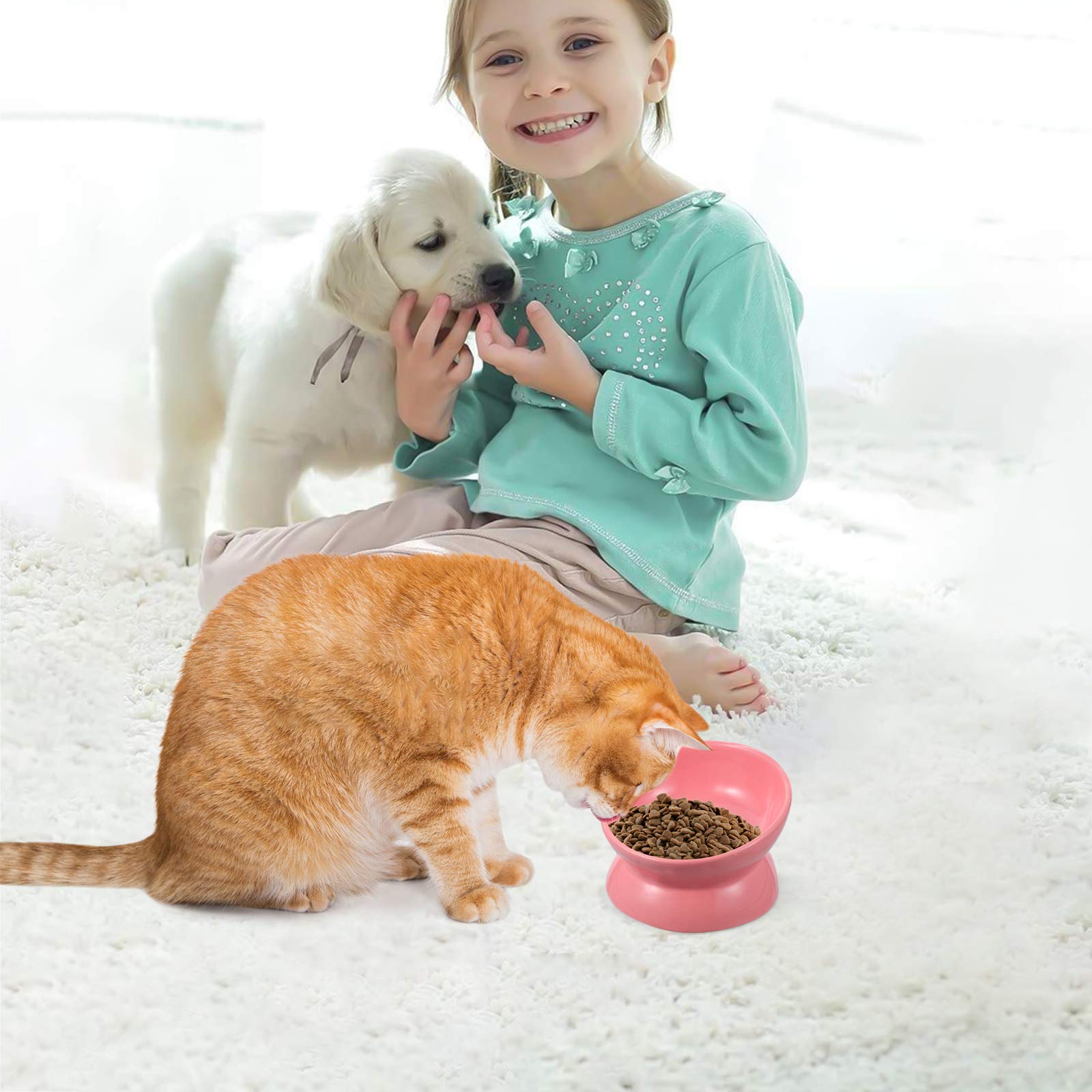 Raised Cat and Dog Bowl with Stand - Ceramic Pet Feeder for Flat-Faced Breeds, Kitten Bowls with Neck Guard - Perfect for Cats, Dogs, and Small Pets at Home or Travel Use
