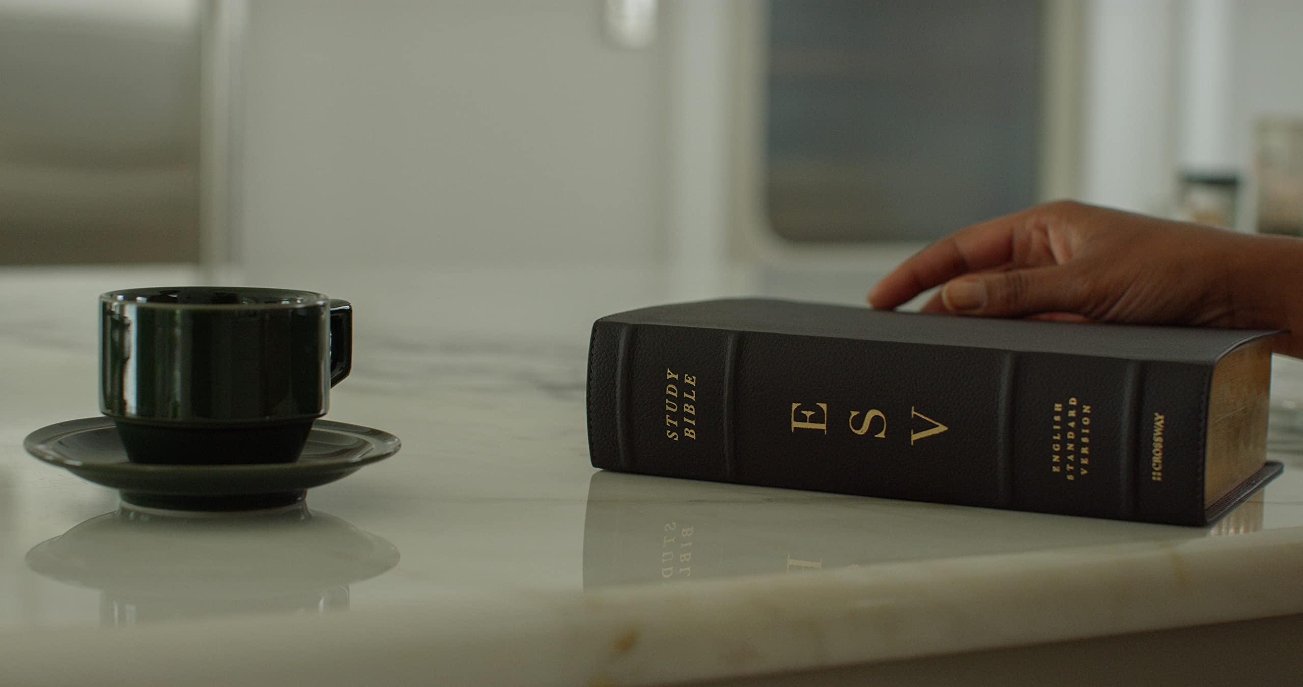 ESV Study Bible - Genuine Cowhide Leather, Deep Brown - Premium Bible for Personal Devotion, Bible Study & Church Services