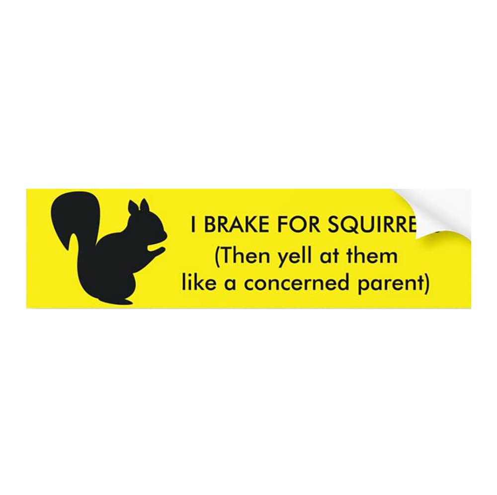 Funny Car Stickers & Decals - 'I Brake for Squirrels' Bumper Sticker & Window Decals for Cars, Trucks, SUVs | Waterproof Vinyl for Outdoor Use | Great for Commuting, Road Trips & Expressing Personality