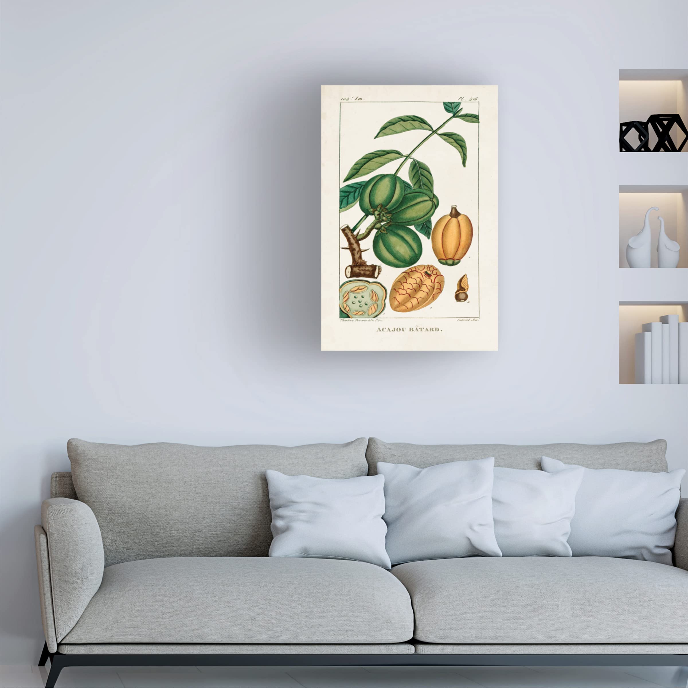 Trademark Fine Art 'Turpin Foliage And Fruit IV' Canvas Wall Art Print - Botanical Still Life Painting for Living Room, Bedroom & Office Decor