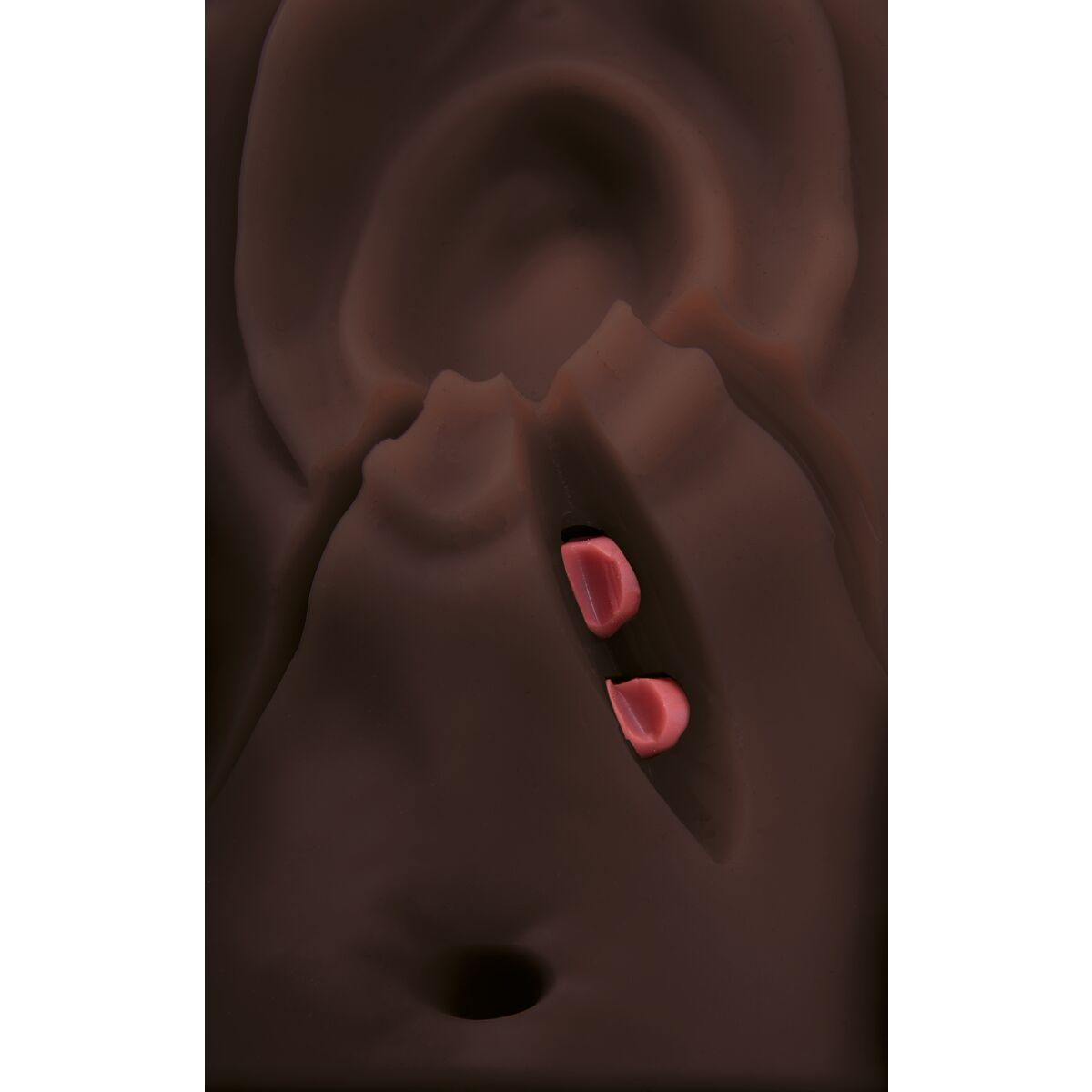Episiotomy and Suturing Simulator - Dark Skin Tone Medical Training Model for OBGYN, Nursing Students & Midwives - Practice Childbirth Procedures & Perineal Repair Techniques
