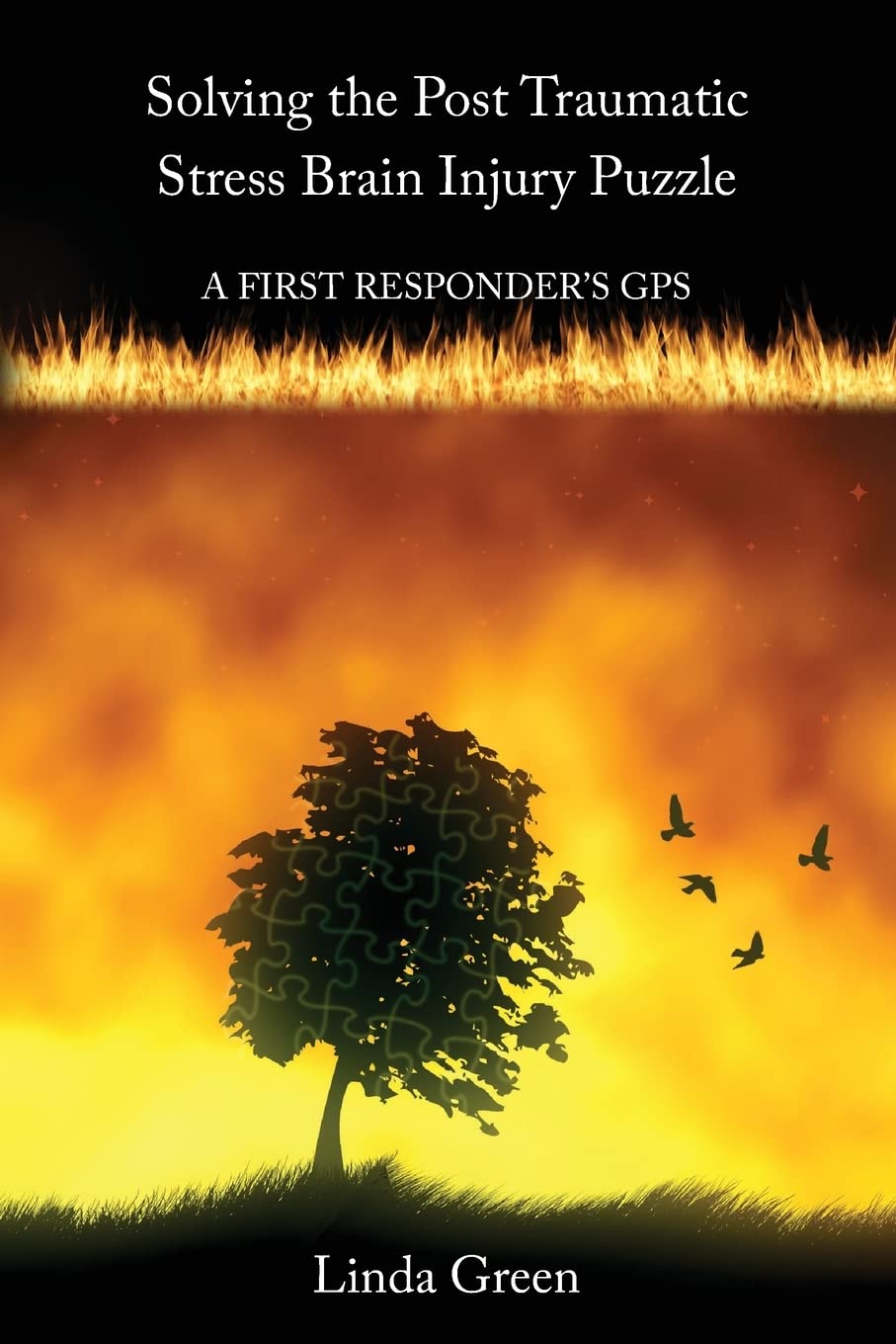 Post Traumatic Stress & Brain Injury Guide for First Responders | PTSD Recovery GPS | Emergency Worker Mental Health Support for Police, Firefighters, EMTs – Ideal for Crisis Situations & Daily Stress Management