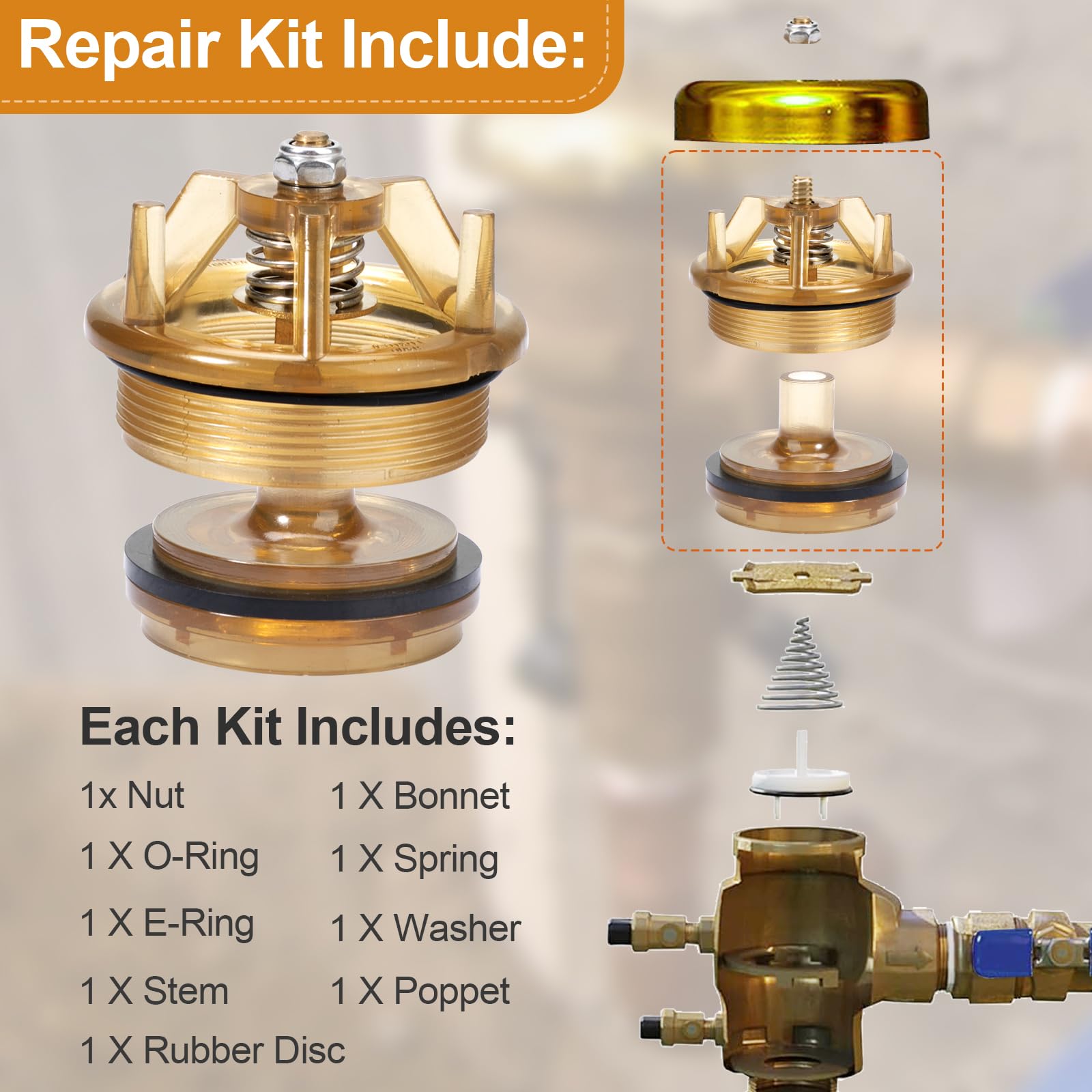 FEBCO 765-1 Pressure Vacuum Breaker Repair Kit 905-212 | Bonnet Poppet Replacement for 1