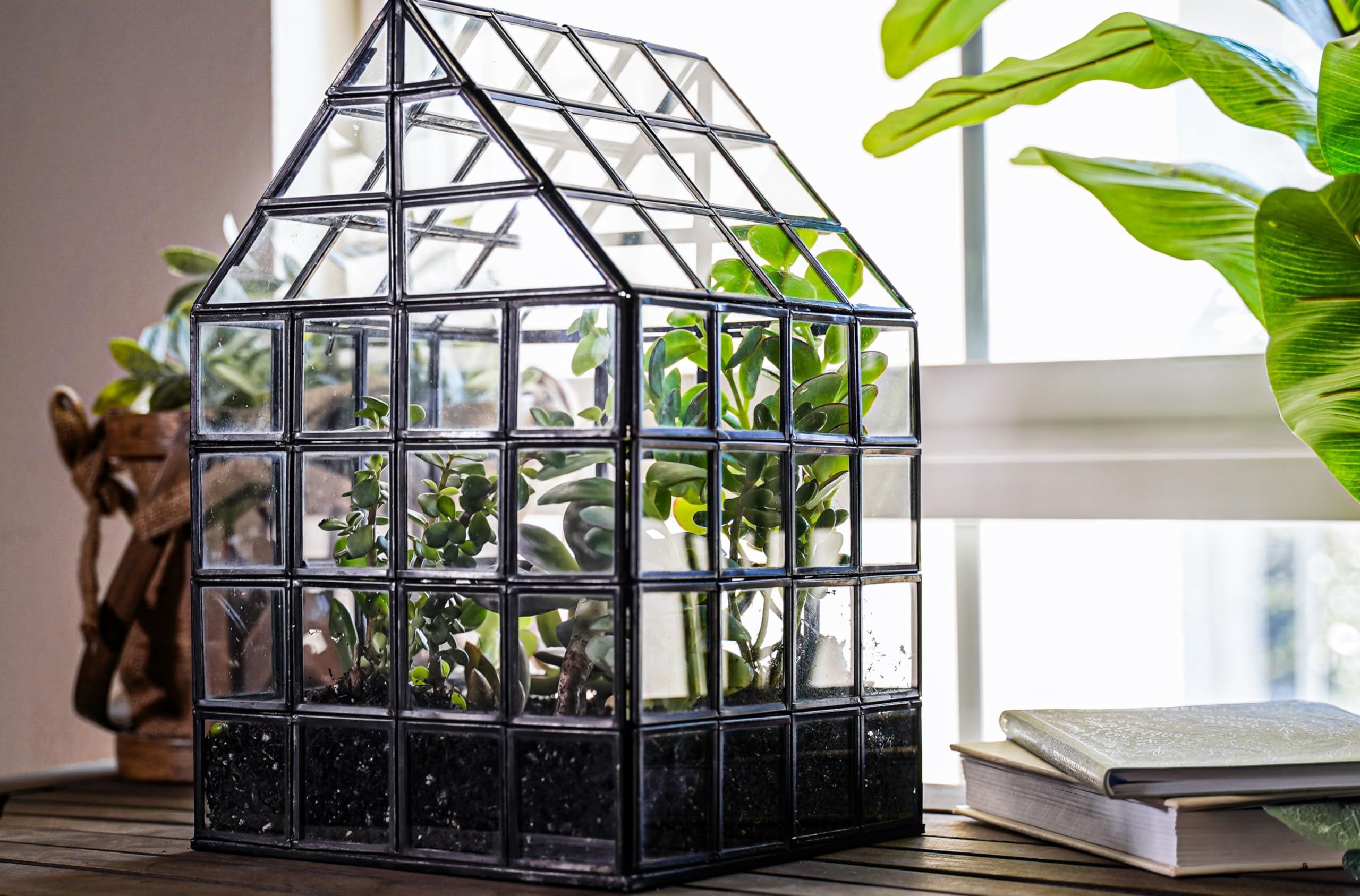 Large Glass Terrarium with Lattice Design - 12