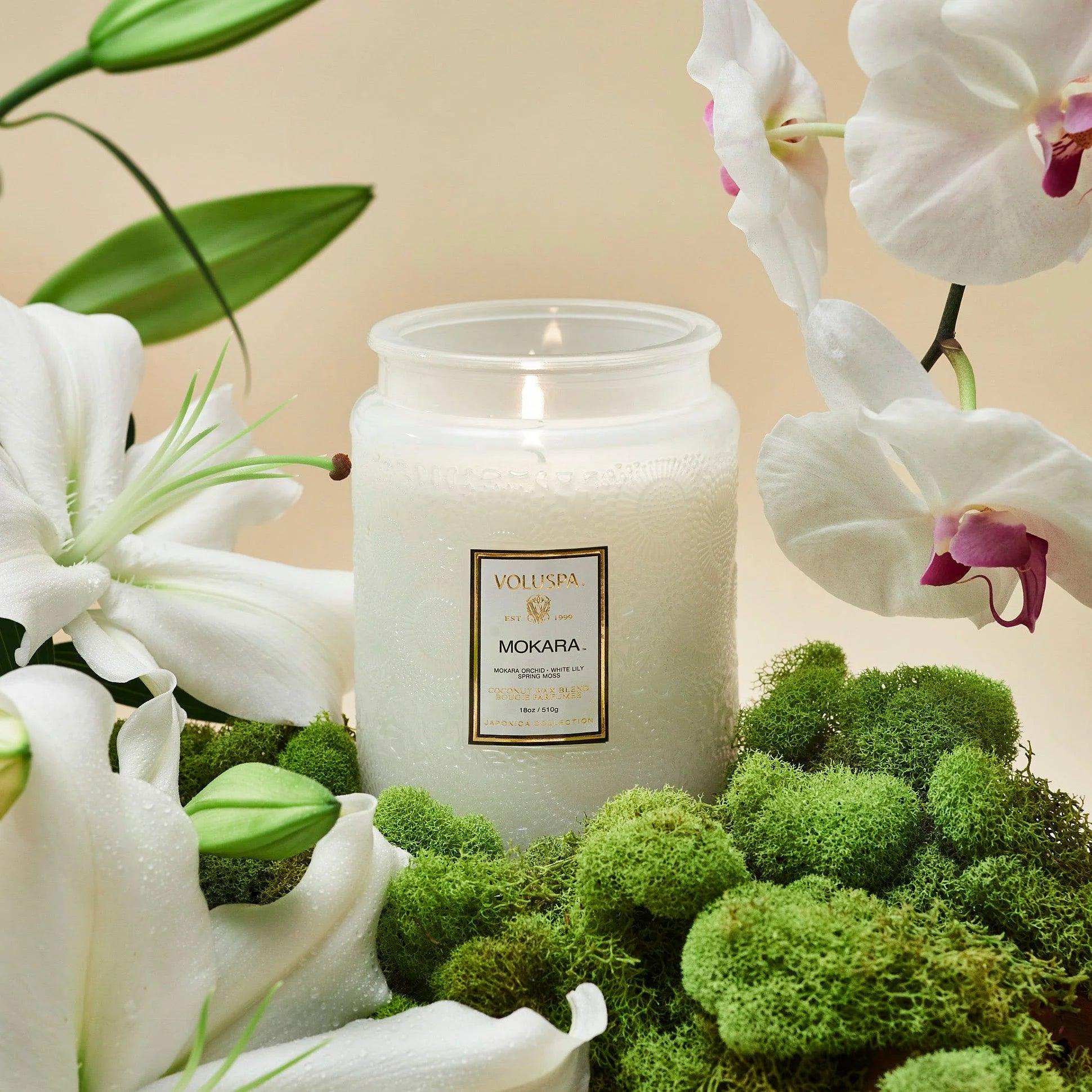 Mokara Large Jar Candle - 16oz Scented Soy Wax Candle for Home, Relaxation & Aromatherapy | Perfect for Living Room, Bedroom & Bathroom Decor