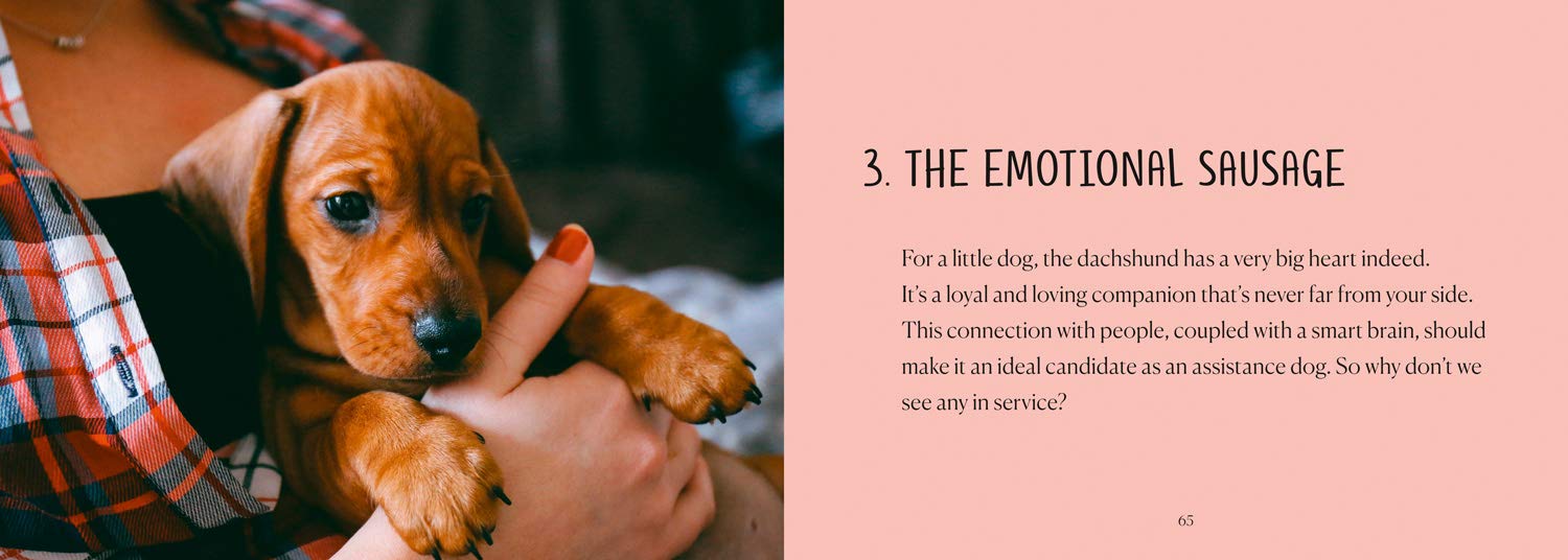Be More Sausage: Life Lessons from a Small but Mighty Dog - Inspirational Book for Pet Lovers & Personal Growth