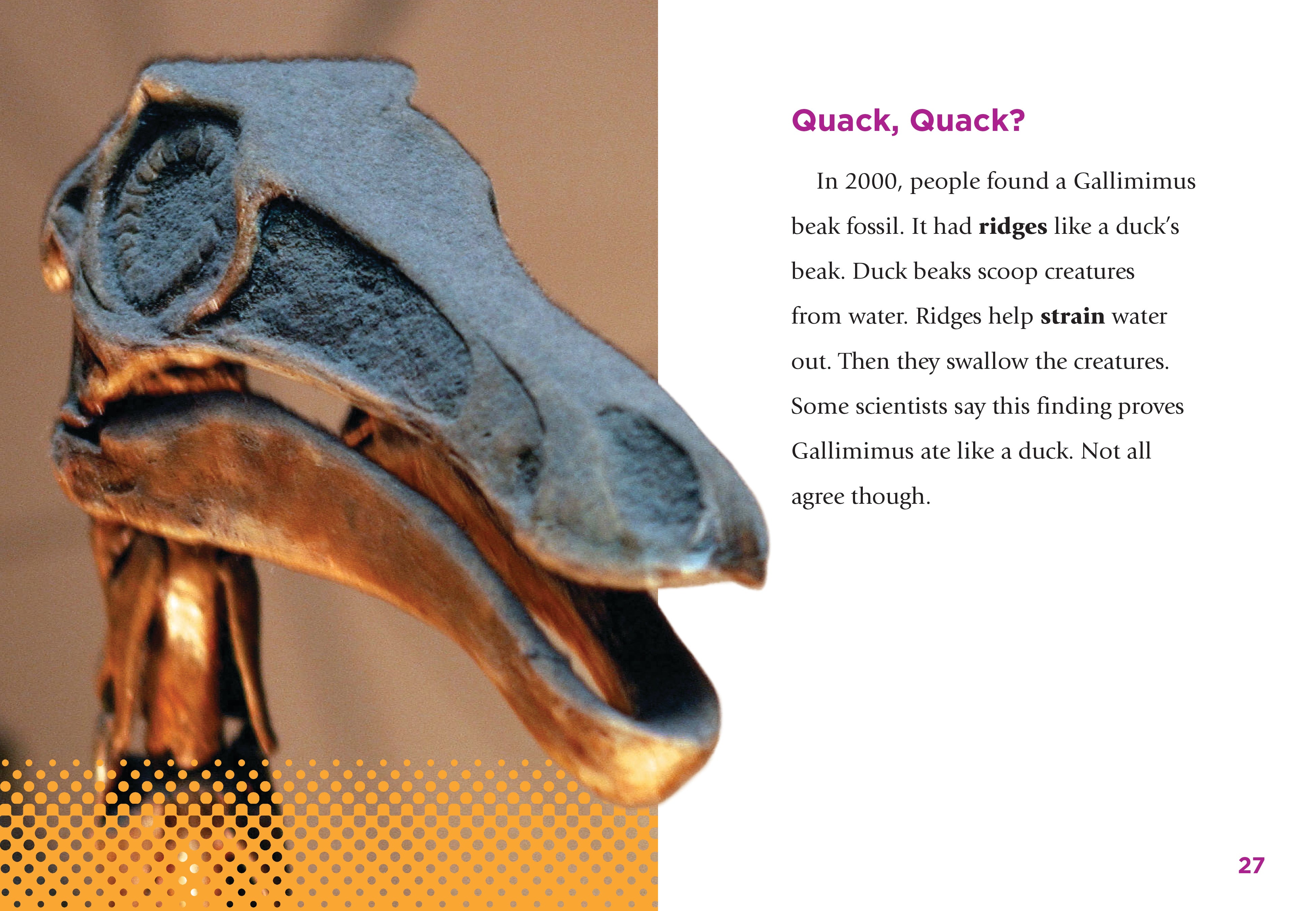 Gallimimus Dinosaur Book 9781623105914 - Perfect for Kids, Educators & Dinosaur Enthusiasts - Learn About Prehistoric Creatures at Home or School
